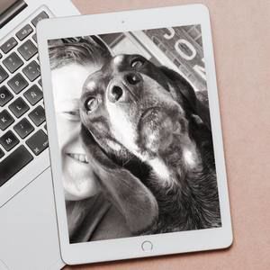 Meet your Posher, Shannon